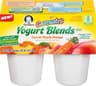 Yogurt Blends Snack